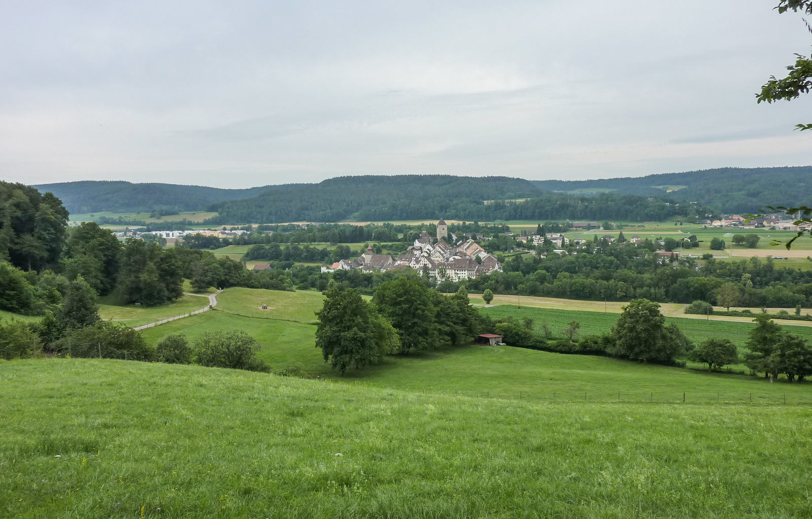 Blick auf Kaiserstuhl_P1070841_Meier