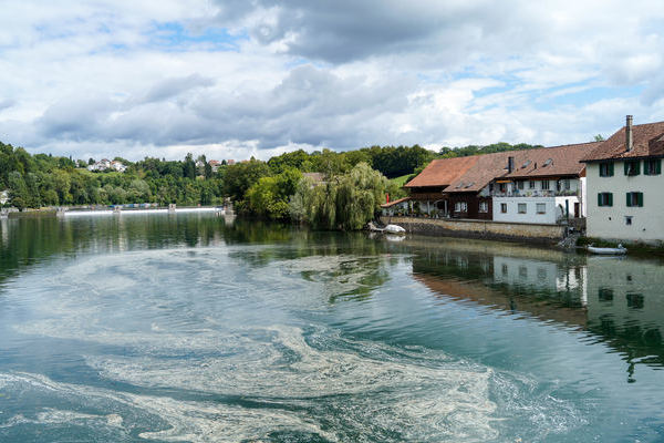 rhein-bei-rheinau_dsc06560_mei er