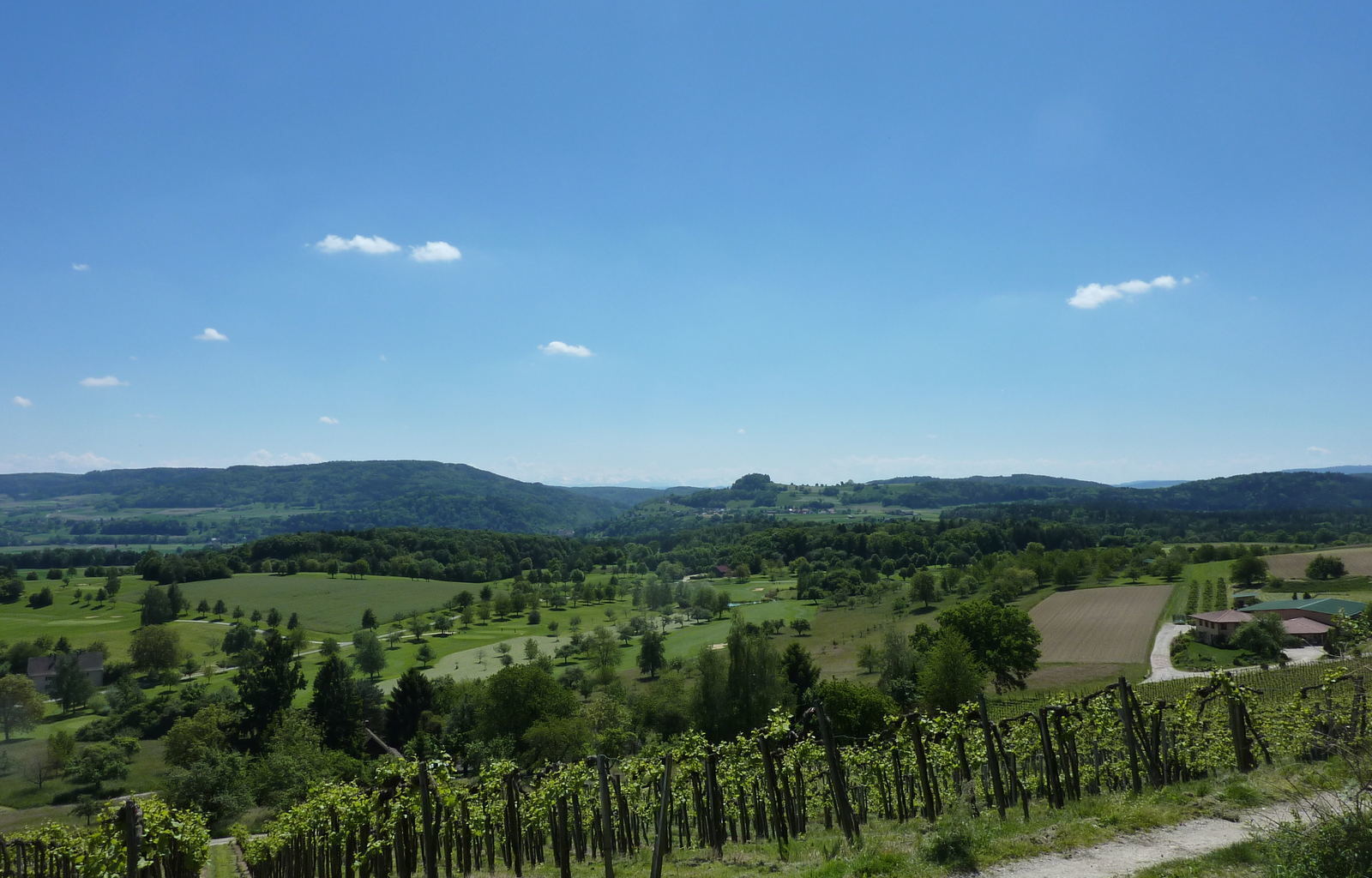 blick-auf-weiberge-in-nack_275 _meier