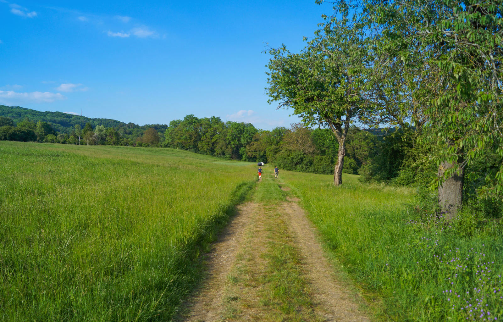 feldweg_dsc04910_meier